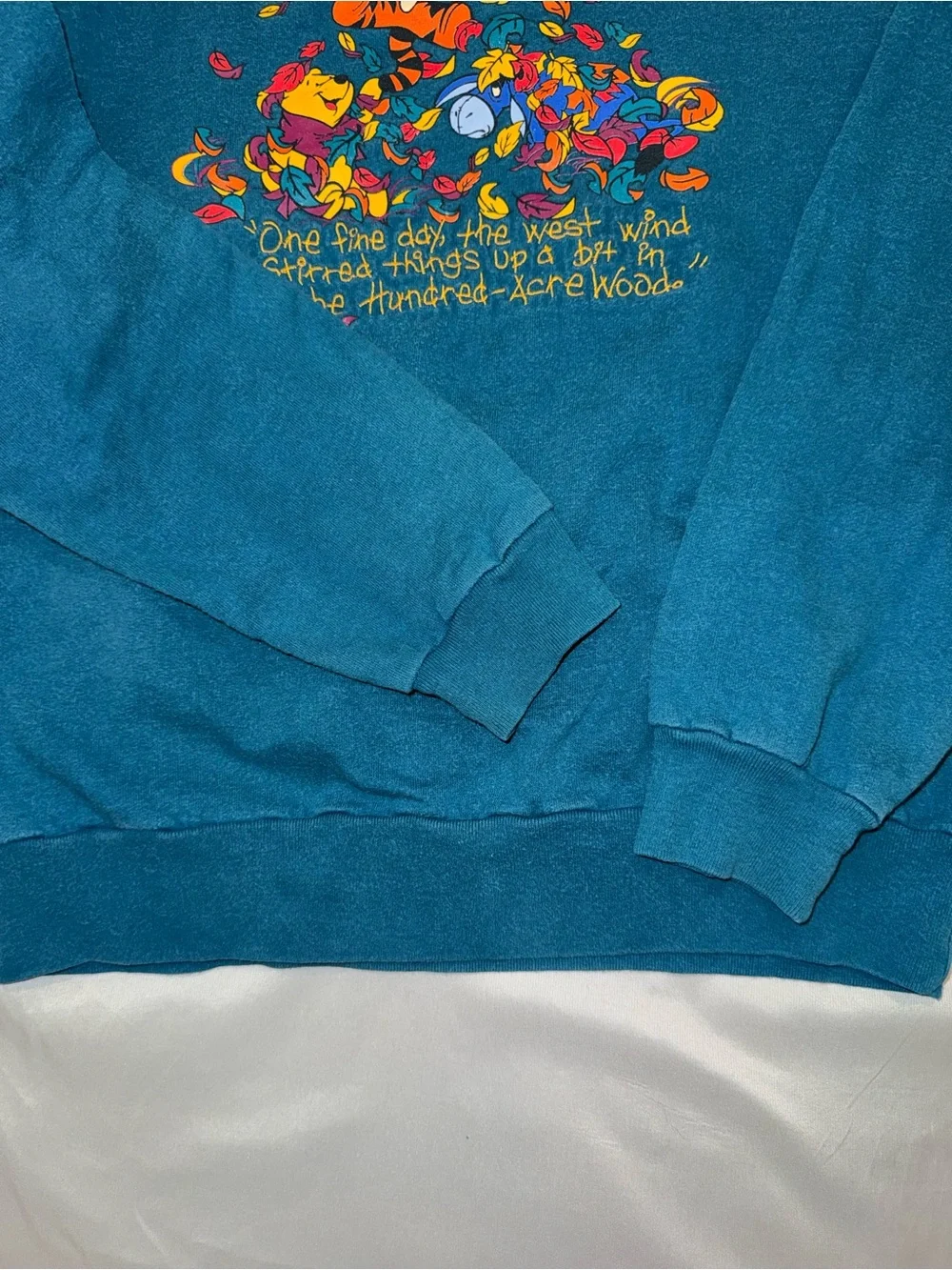 Vintage Disney Winnie the Pooh Teal Crewneck Sweatshirt Kids Large